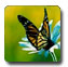 Bali Butterfly Park